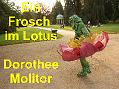 01 Frosch im Lotus